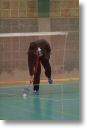 IMG_1732.jpg