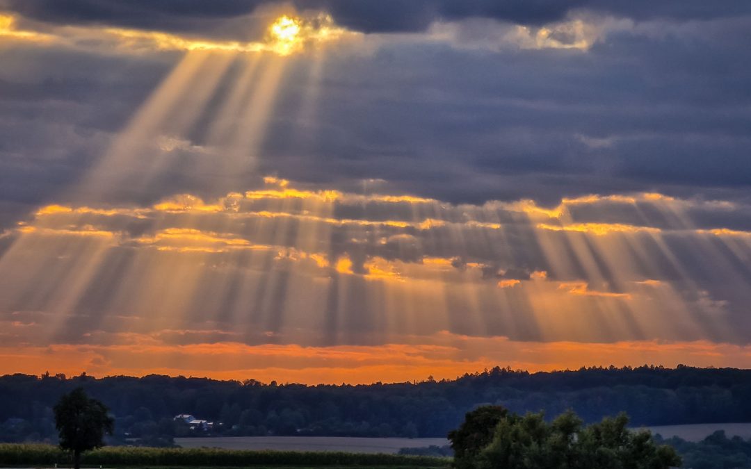 Saisonfinale 2026: Uralte Linde, stille Wallfahrt und eine Burg im Abendlicht